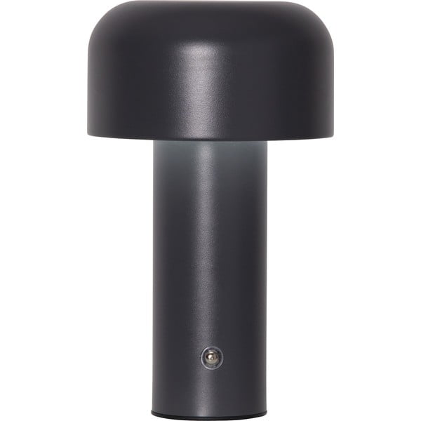 Hall LED-lauavalgusti (kõrgus 21,5 cm) Bobby - Star Trading-image-4