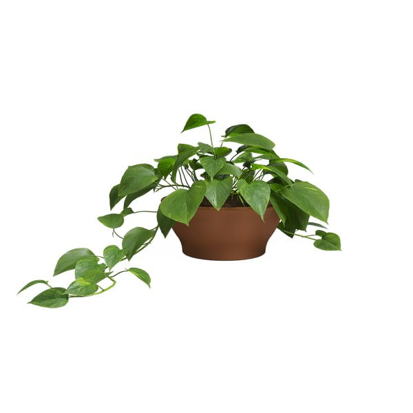 Terrakotta lillepott ø 23 cm Saramago - Artevasi-image-2