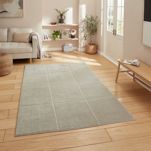 Helehall vaip 120x170 cm Elio Silver - Think Rugs-image-1