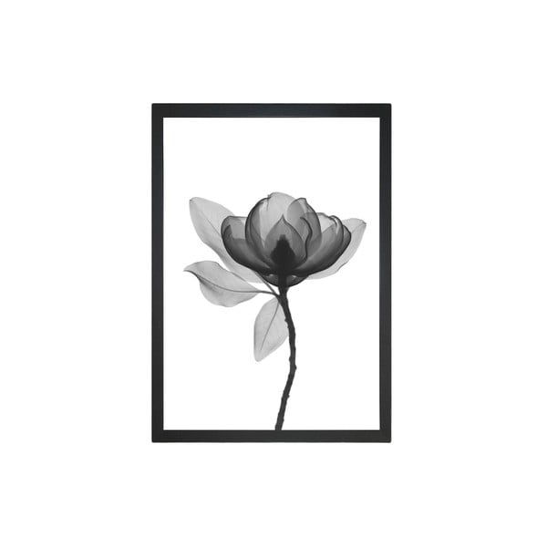 Plakat 24x29 cm Harmony Flower - Tablo Center