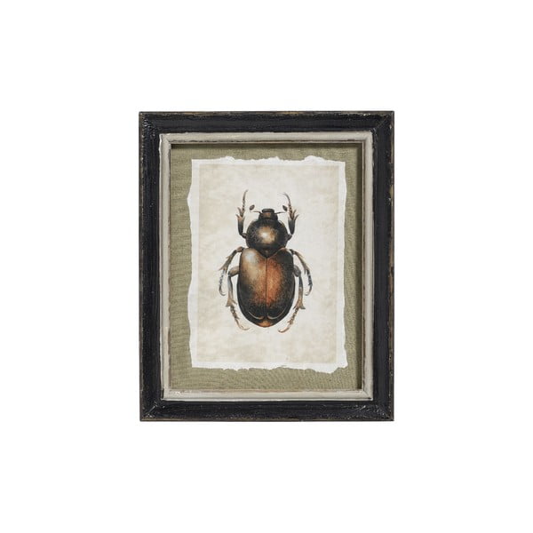 Obraz Beetle, 39x24 cm