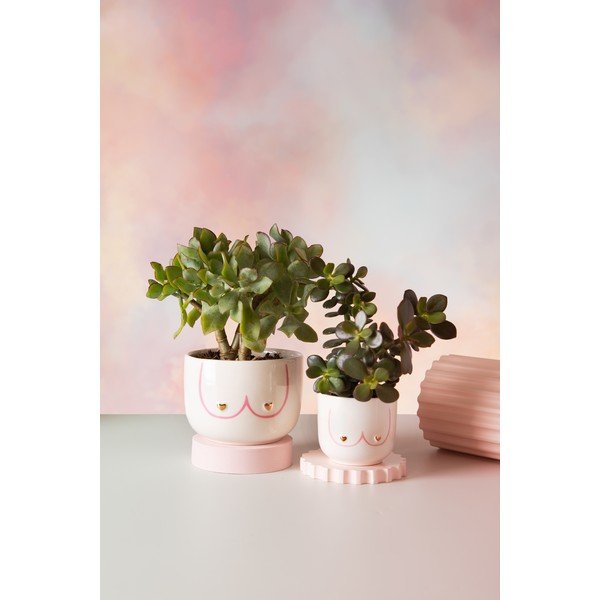 Keraamiline kaas lillepotile ø 8 cm Girl Power - Sass & Belle-image-1