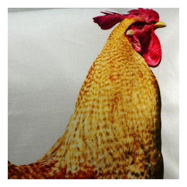 Polštář Rooster 50x50 cm-image-1