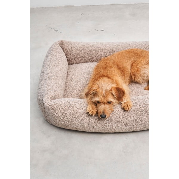 Beež bukleekangast koeravoodi 55x70 cm Senso Greige S - MiaCara-image-3