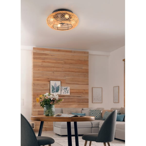 Pruun laelamp puldiga/ventilaatoriga Lillesand - Trio-image-2