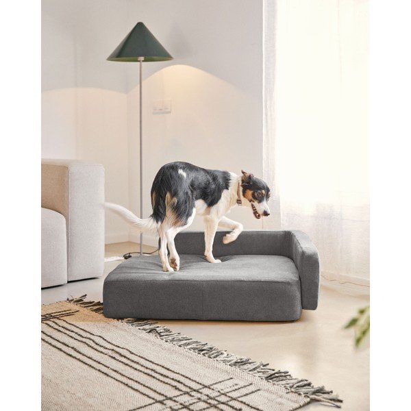 Tumehall koeravoodi 96x70 cm Bowie - Kave Home-image-4