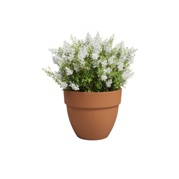 Terrakotta lillepott ø 40 cm Amalia Campana - Artevasi-image-2