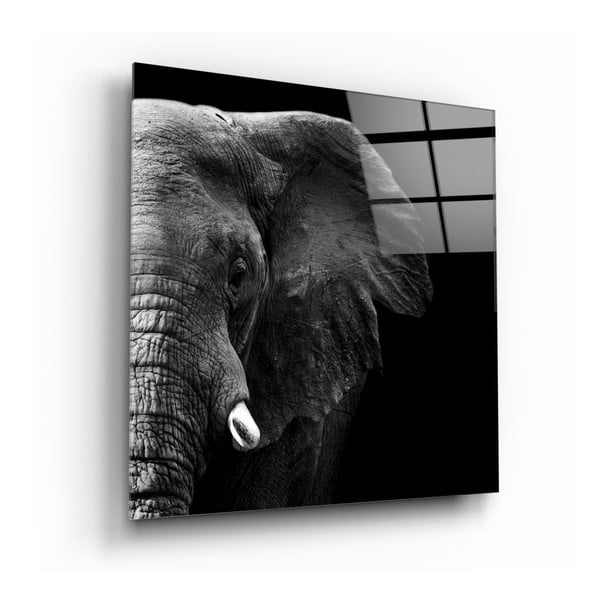 Klaasimaal, 100 x 100 cm Elephant - Insigne