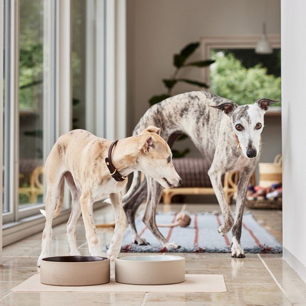 Keraamiline koerakauss ø 17 cm Sia - OYOY Living Design-image-1