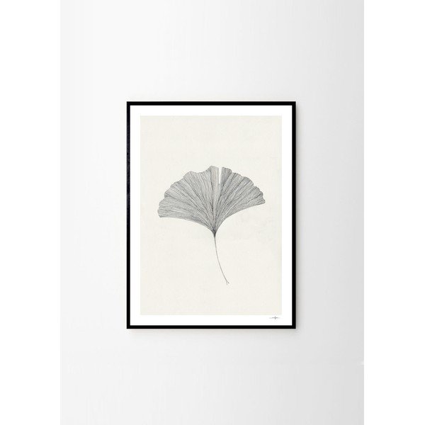 Plakat 50x70 cm Ginkgo Leaf – Ana Frois - The Plakat Club-image-3