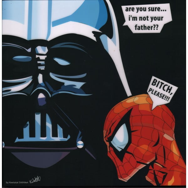 Obraz Darth vader - are you sure I am not your father