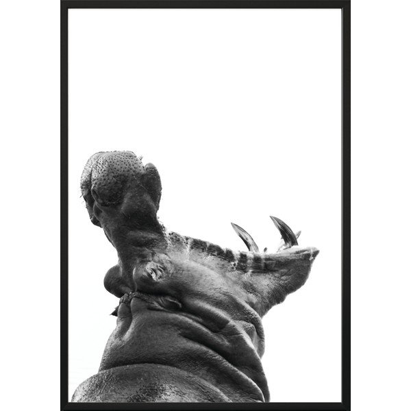 Plakat , 100 x 70 cm Hippopotamus - DecoKing