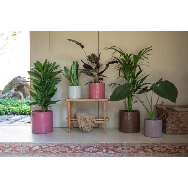 Keraamiline käsitöö lillepoti kate ø 25 cm Fortuna - Artevasi-image-3