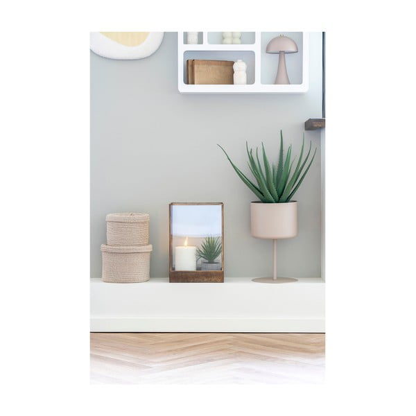 Kunsttaim (kõrgus 51 cm) Aloe Vera - House Nordic-image-2