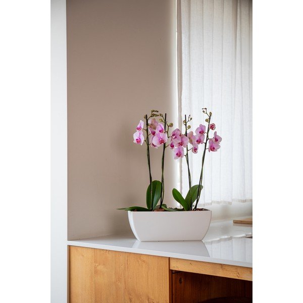 Taaskasutatud plastikust karp 40 cm Siena - Artevasi-image-1