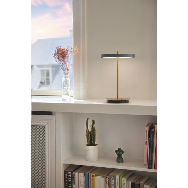 Antratsiit LED timmitav laualamp metallist lambivarjundiga (kõrgus 31 cm) Asteria Move - UMAGE-image-3