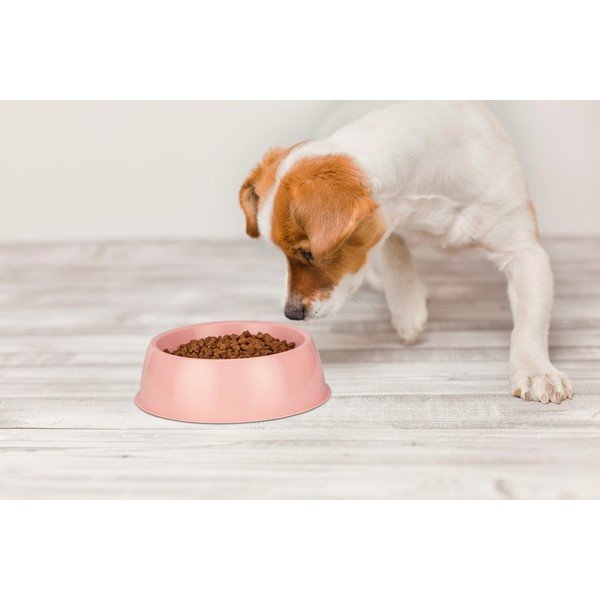 Roosa koerakauss, ø 21,5 cm - Petpetite-image-1