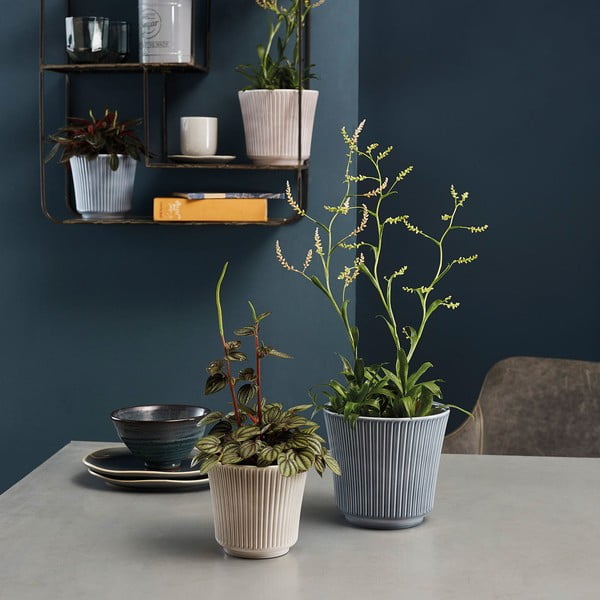 Keraamika lillepoti kate  ø 16 cm Delphi  – Big pots-image-1
