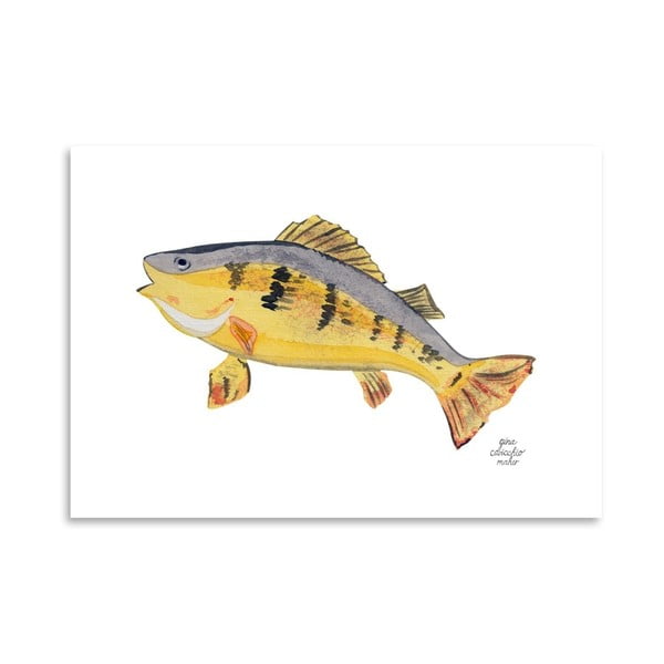 Autorský plakát Fish, 30x42 cm