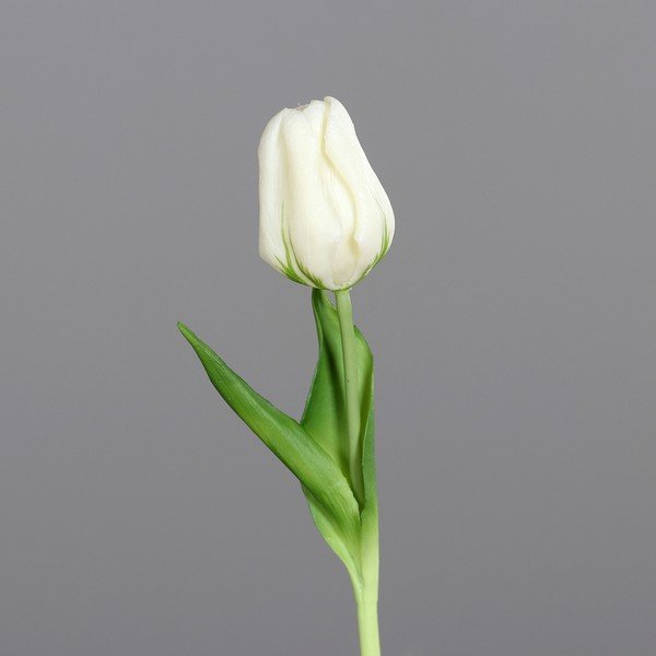 Kunstlill (kõrgus 20 cm) Tulip - Ego Dekor