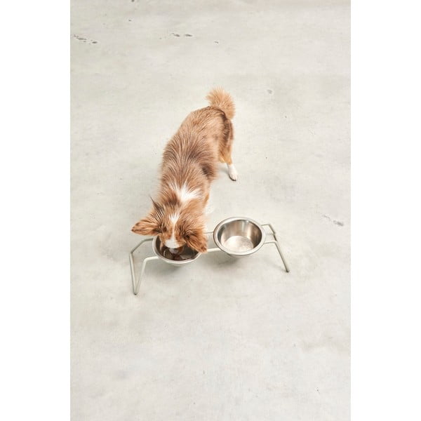 Roostevabast terasest koerakausside komplekt koos alusega Cena Greige M - MiaCara-image-2