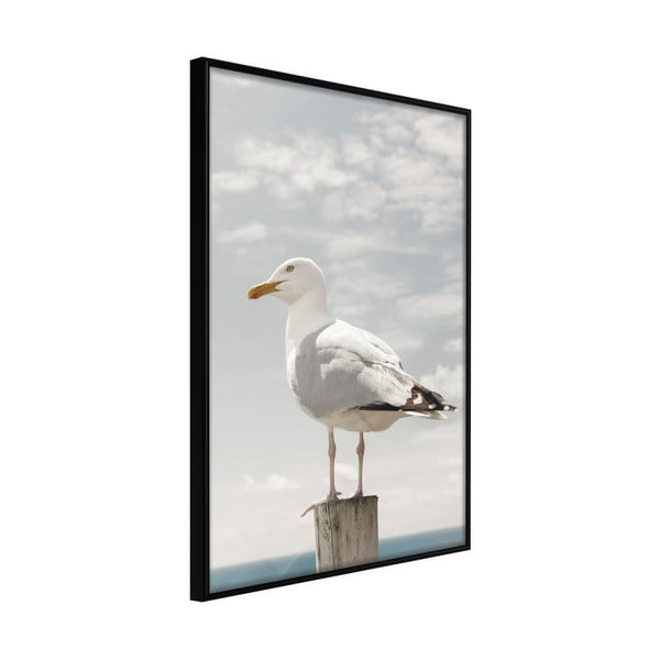 Plakat raamis, 40 x 60 cm Curious Seagull - Artgeist