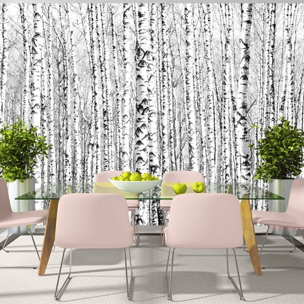 Suureformaadiline tapeet , 400 x 280 cm Birch Forest - Artgeist-image-1