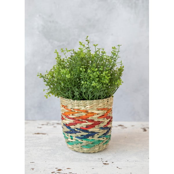 Lillepoti kate  mererohi ø 11,5 cm Rainbow – Kitchen Craft-image-4