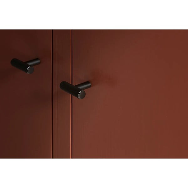 Messingivärvi seinakonksud 2tk komplektis Rof - Blomus-image-2