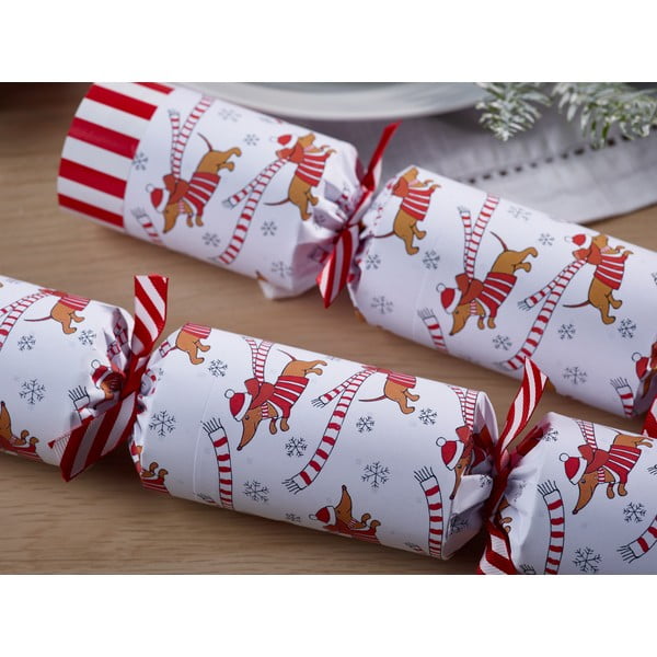 Jõulukrakkerid 6tk komplektis Racing Sausage Dog - Robin Reed-image-2