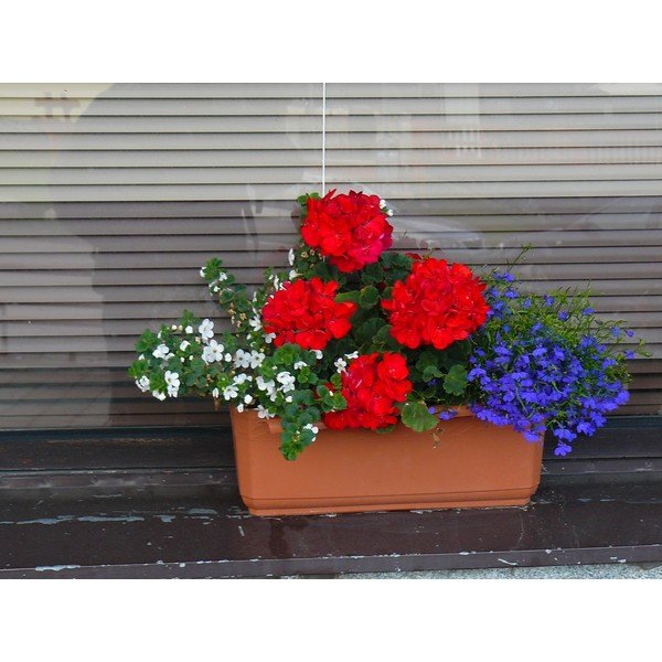 Pruun isevoolav istutuspott, pikkus 60 cm Siesta - Plastia-image-1