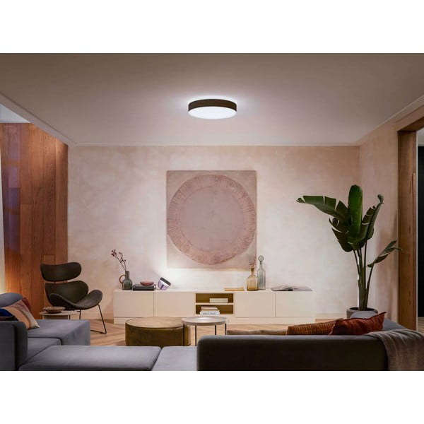 LED nutikas laevalgusti 33,5W Enrave - Philips Hue-image-1
