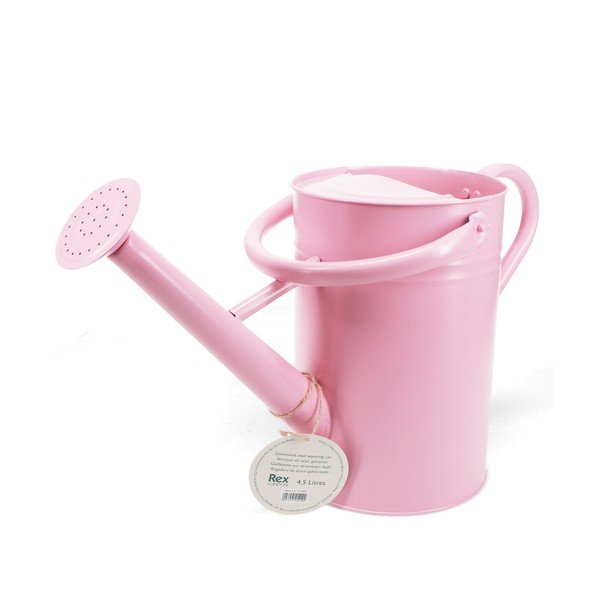 Metallist kastekann 4,5 l - Rex London-image-2