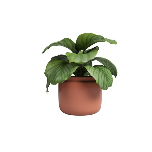 Keraamiline käsitöö lillepott ø 20 cm Astrea - Artevasi-image-4