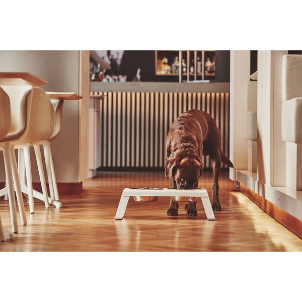 Metall kausside komplekt koos alusega Desco White M – MiaCara-image-1