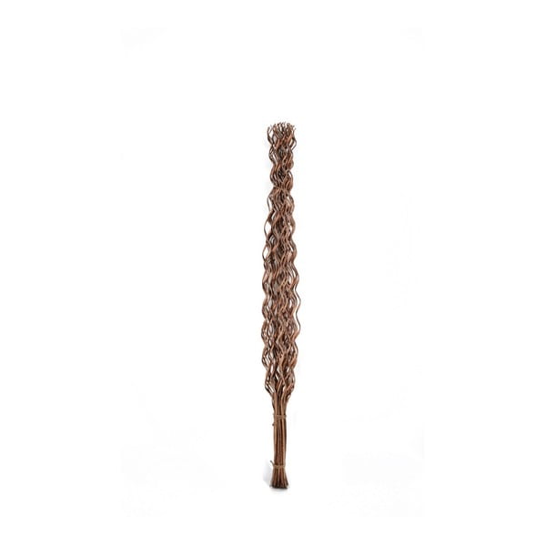 Sada 12 dekorativních vrbových větviček Moycor Hutan, délka 100 cm