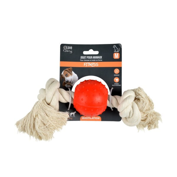 Koera mänguasi - Love Story-image-2