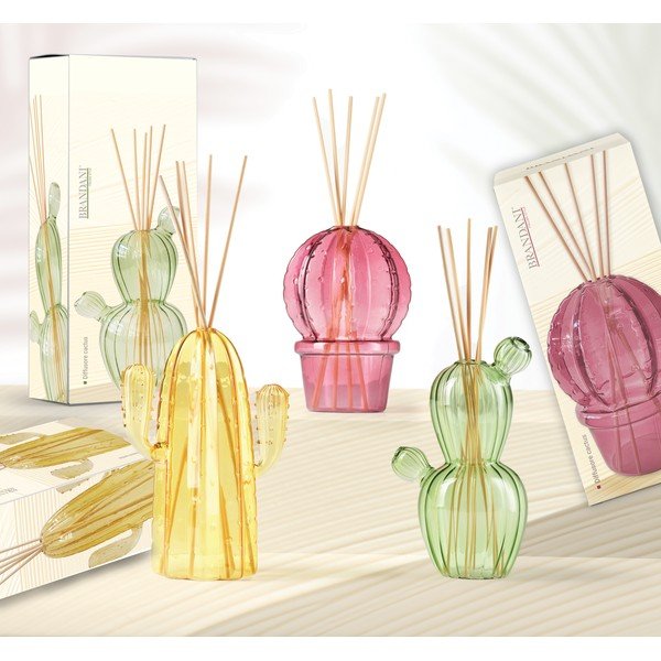 Hajuti Cactus - Brandani-image-1