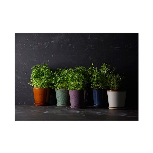 Kiviplaat lillepoti kate  ø 14 cm Green/Black – Bitz-image-2