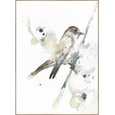 Maal 30x40 cm Bird - Malerifabrikken