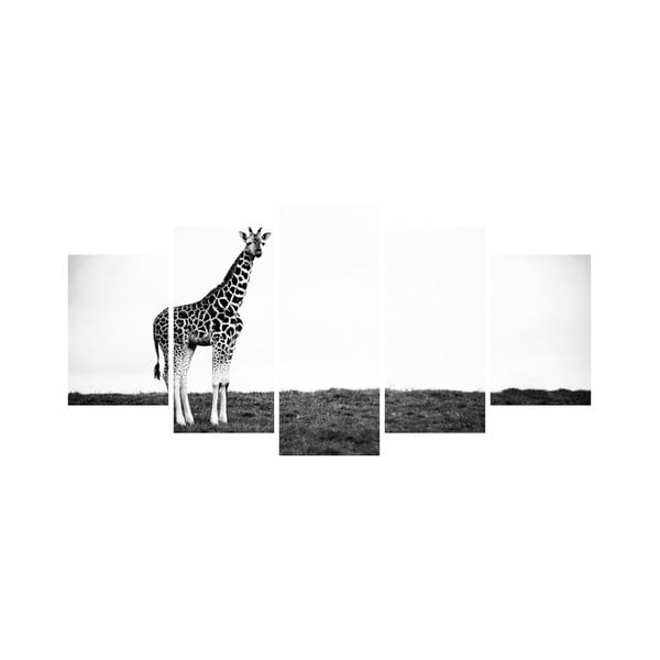 Vícedílný obraz Black&White no. 6, 100x50 cm