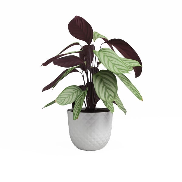 Ümbertöödeldud plastikust lillepott ø 30 cm Havana - Artevasi-image-2