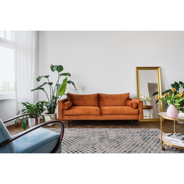 Villane vaip 200x300 cm Fridia - Agnella-image-2