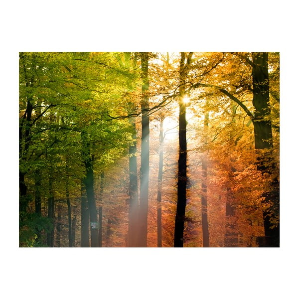 Suureformaadiline tapeet , 400 x 309 cm Beautiful Autumn - Artgeist