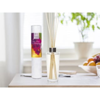 Kodulõhnastaja Santal – Boles d'olor