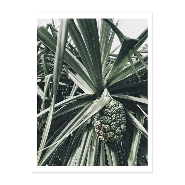 Plakát HF Living Botanic Palm, 30 x 40 cm