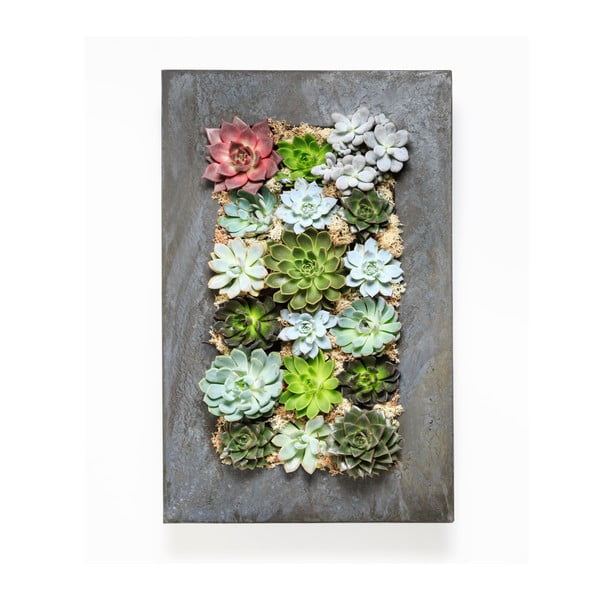 Nástěnný květináč se sukulenty Urban Botanist Wall, 72x45 cm