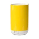 Kollane keraamiline vaas Yellow 012 - Pantone