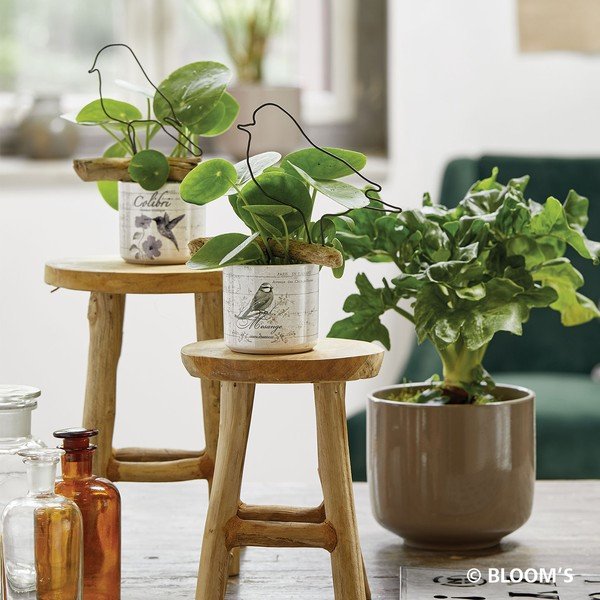 Pruun keraamiline pott Bari, ø 19 cm - Big pots-image-1