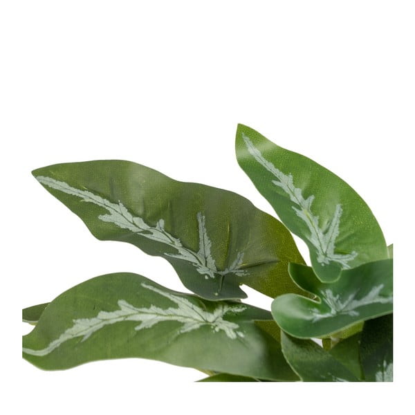 Kunstlik taim (kõrgus 21 cm) Syngonium - Ixia-image-2